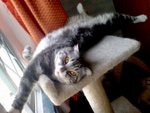 DSC01939
