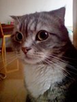 DSC01950