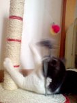 DSC01956