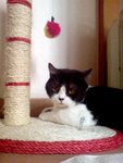 DSC01957