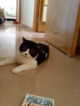 DSC02584