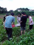 DSC03090-1