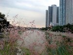 DSC03145