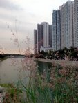 DSC03146