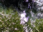 DSC03152