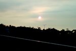 DSC03154