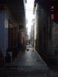 DSC08707