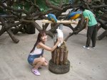 CIMG6779
