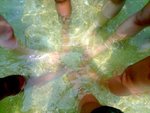 P040808_13.53[02]