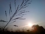 DSC01757