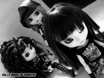 aIMG_1278