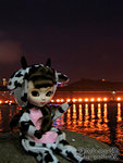 IMG_0059