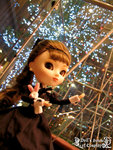 If only I can touch the stars