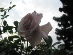 IMG_0605