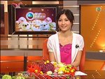 2009-04-10_20-09-40h 3