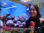 2007-12-11_22-57-04h 1