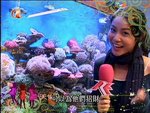2007-12-11_22-57-11h 2