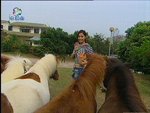 2006-12-22_22-58-21h 2