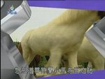 2006-12-21_22-57-17h 2