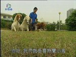 2006-12-21_22-58-33h 1