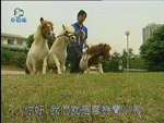 2006-12-21_22-58-33h 2