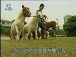 2006-12-21_22-58-34h 1