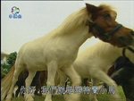 2006-12-21_22-58-35h 2