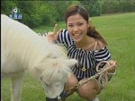 2006-12-21_22-59-40h 1