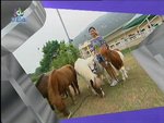 2006-12-22_22-56-49h 1