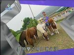 2006-12-22_22-56-49h 3