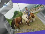 2006-12-22_22-56-50h 2