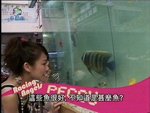 2007-06-22_22-58-13h 1