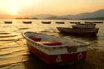 IMG_2871 copy