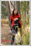 Sheshirley_017