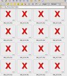 2007-12-10_133532_DEAD