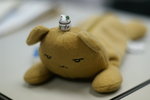 PICT7675