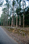 Web_2008-12-14-DSC_1736