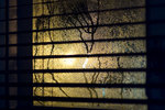Web-Resize-DSC_4033