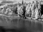 DSCN0519a