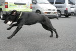 Good girl! Annie!!

