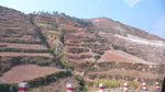 P1000197