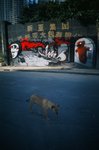 09900029