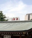 _MG_9804