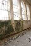 IMG_0071
