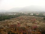 IMG_9619