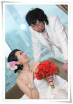 SAY_7953