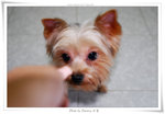 SAY_3224