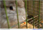 SAY_5719