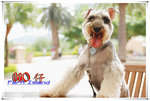 SAY_2272