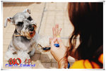 SAY_2277